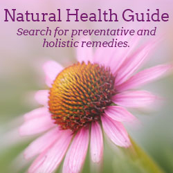 Taste for Life Natural Health Guide