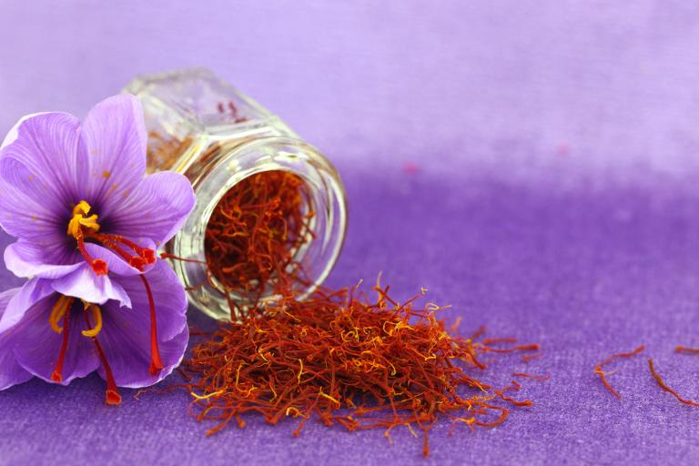 A small jar of saffron next to a saffron flower